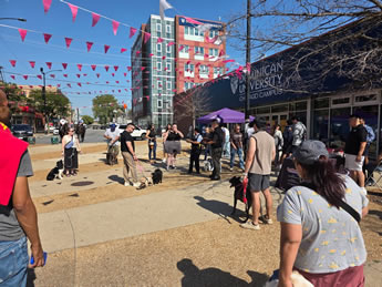 Click for Larger View Click for Larger View